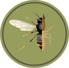  Solutions Termites Habitat